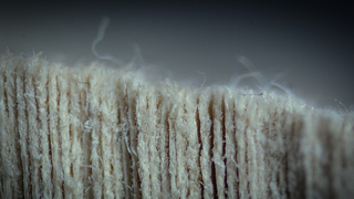 Illustration for article titled Super close up images of common objects are beautifully alien